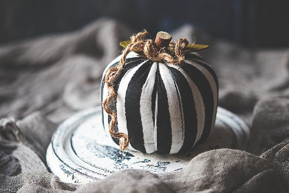 免费国产成版人视频app