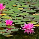 色爱综合网欧美AⅤ 5muu5