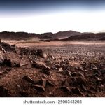 免费做免费做人爱视频的网站 5prhj