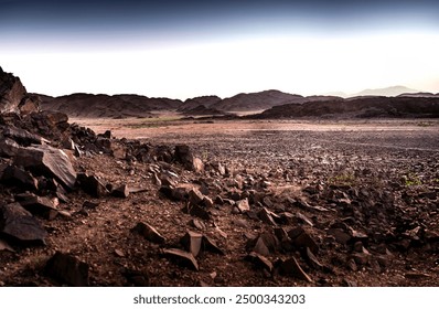 免费做免费做人爱视频的网站