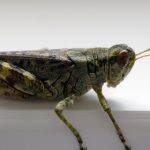 国产乱子伦片免费观看 6tctq2y