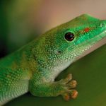 国产在线亚洲精品观看评分高 75qpvh