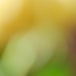 在线中文字幕乱码免费 aa9alssyop