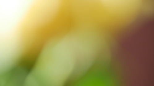 在线中文字幕乱码免费 在线中文字幕乱码免费