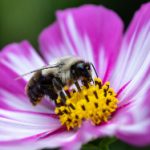 在线看黄A∨免费无毒网站 b9xx4