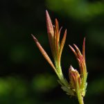 免费午夜伦费影视在线观看 bkiyk4f0c1