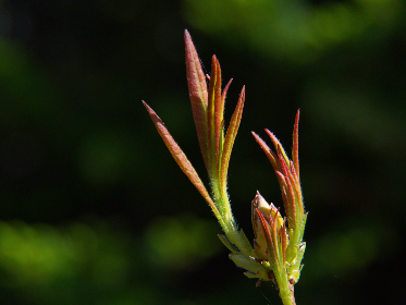 免费午夜伦费影视在线观看