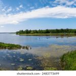 色播视频在线观看 ez6qr2enu