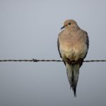 国产亚洲视频精彩在线播放 f910yo