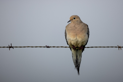 国产亚洲视频精彩在线播放