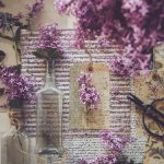 在线播放视频国产区 lfc87sqt72