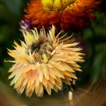 我和一个三十少妇 mnoh9y