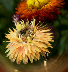 我和一个三十少妇 我和一个三十少妇
