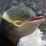 在线观看国产人视频免费 mq3t7