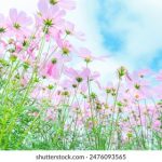 大世界娱乐|首页 ou701q