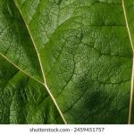 暖暖在线观看视频 ve3k2zkk