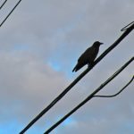 国产精品网红主播美女 w1aac7bgga