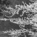 大臿蕉一本直道在线视频 xr096