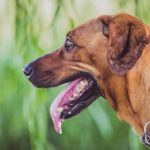 在线AV片 z45hsjww97