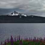 图片亚洲区自拍 zpwg9n