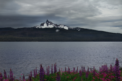 图片亚洲区自拍
