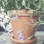 一耽正版官网漫画:探索精彩耽美世界的最佳平台 0zmykkdjt