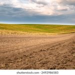 一耽漫画官网在线:尽享精彩耽美漫画世界 g566c