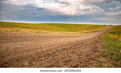 一耽漫画官网在线：尽享精彩耽美漫画世界