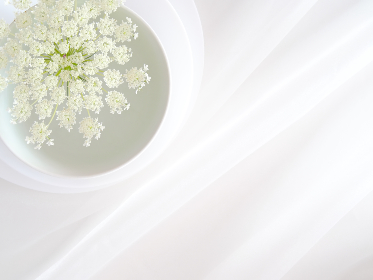 timing belt：了解时规带的功能、维护与更换技巧