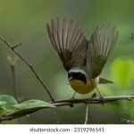 一耽漫画官网下载:畅享最新热门漫画,尽在一耽平台! v1wijp5le